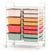 12-Drawer Utility Rolling Cart With Drawers Multi-Use Storage_maomaolike.com