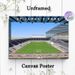 St James's Park Football Stadium Painting Poster, Vibrant Illustrated Stadium Scene Poster, Eye-catching Sports-themed Decor Perfect For Home, Sports_maomaolike.com