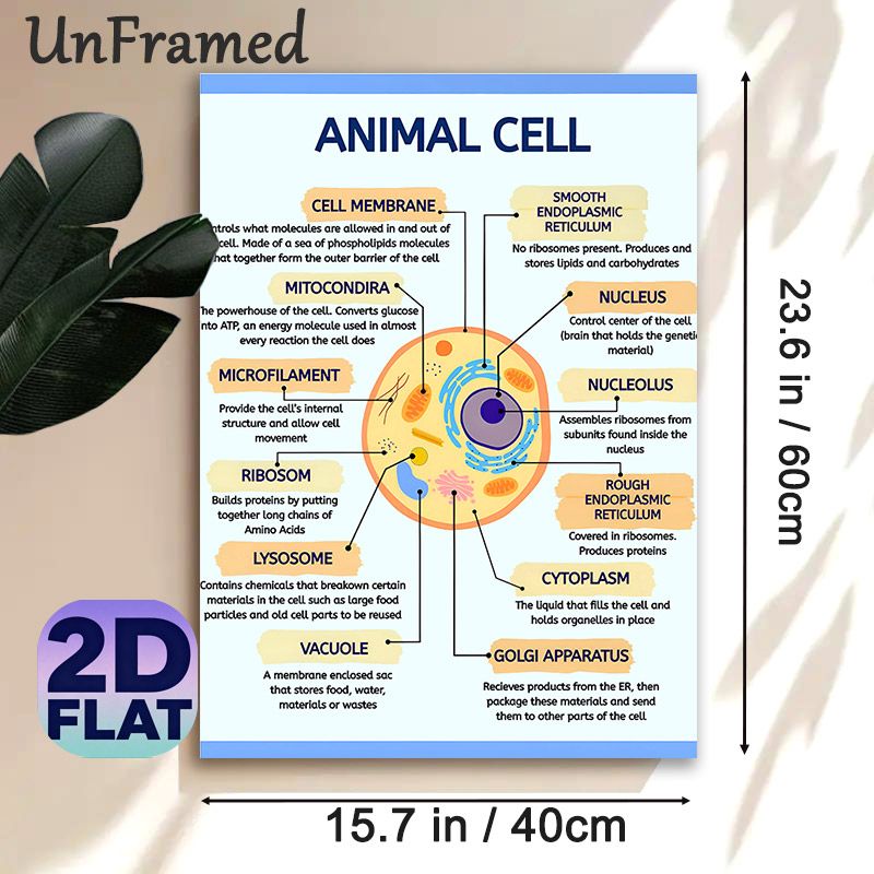 Animal Cell Diagram Painting Poster, Clear Labeled Scientific Illustration Poster, Informative Guide To Learn Animal Cell Structures, Ideal For Study_maomaolike.com