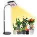 LED Plant Growth Fill Light Full Spectrum Bracket Floor Standing Desktop Indoor Green Plants Succulent Sunlight Plant Lamp_maomaolike.com