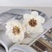 Lotus Aromatherapy Oil Absorbing Fragrance Artificial Peony Home Decor Plant Dried Flower_maomaolike.com