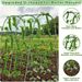 U-shaped Plant Climbing Trellis, 80 * 120cm Outdoor Vertical Garden Arch Grille, With Climbing Net, Orderly Growth Of Cucumbers, Pumpkins, Grapes, Etc_maomaolike.com
