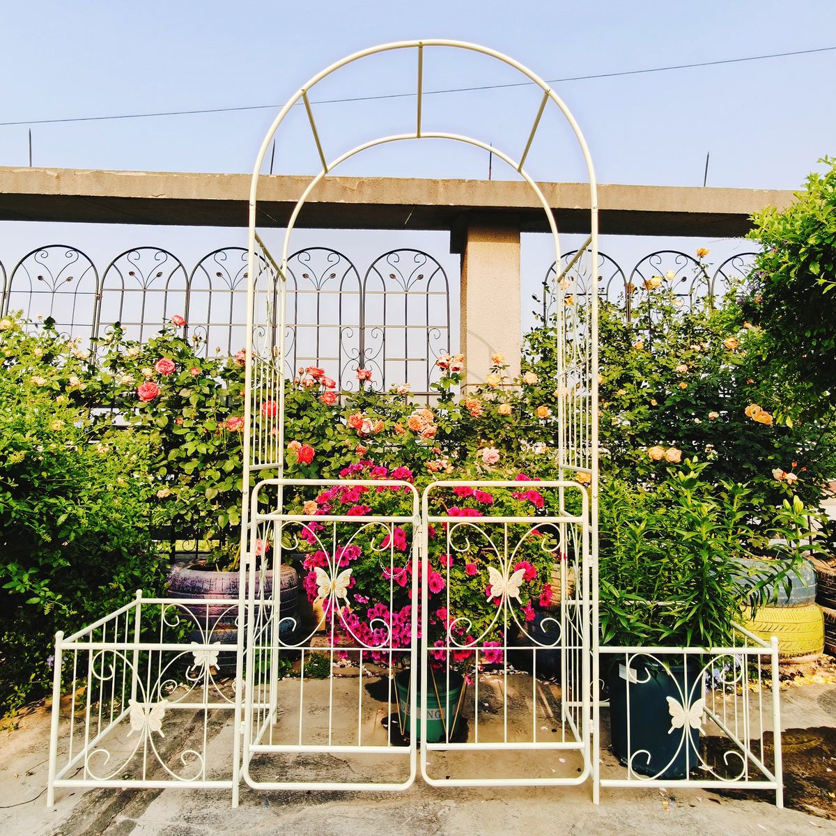 Metal Garden Arch With Gate 79.5'' Wide X 86.6'' High Climbing Plants Support Rose Arch Outdoor Cream White_maomaolike.com