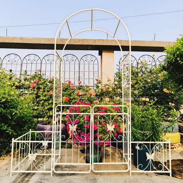 Metal Garden Arch With Gate 79.5'' Wide X 86.6'' High Climbing Plants Support Rose Arch Outdoor Cream White_maomaolike.com