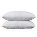 Chopped Memory Foam Pillow Removable And Washable Pack Of 2_maomaolike.com
