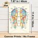 Reflexology Foot Chart Painting Poster, Colorful Detailed Anatomical Poster, Clearly Shows Foot-to-body Reflex Zones, Ideal For Massage Studios_maomaolike.com