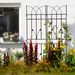 4 Pack Metal Garden Trellis 71" X 17.7" Rustproof Trellis For Climbing Plants Outdoor Flower Support_maomaolike.com