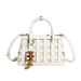 2026 Spring/Summer New Women's Handbag, Niche High-End Woven Bag, Fashionable Single-Shoulder Crossbody Tote Bag_maomaolike.com