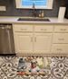 Staffordshire Bull Terrier The Chef Memory Foam Kitchen Mat Machine Washable Anti-Fatigue Mat Cushion Comfort Bath Mat Or Kitchen Rug_maomaolike.com