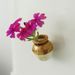 TECHPULSED Handmade Magnetic Mini Fridge Vase, Creative Test Tube Hydroponic Flower Holder Kitchen Refrigerator Home Decor Ornament_maomaolike.com
