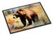 Grizzly Bear Doormat Front Door Mat Indoor Outdoor Rugs For Entryway, Non Slip Washable Low Pile, 24H X 36W_maomaolike.com