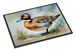 Northern Pintail Doormat Front Door Mat Indoor Outdoor Rugs For Entryway, Non Slip Washable Low Pile, 24H X 36W_maomaolike.com
