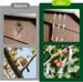 50/200m Laser Anti Ribbons Tape Double-sided Reflective Tap For Outdoor Farm Bird Pt Control Scarer Garden_maomaolike.com