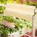Hanging Balcony Table, Spruce Wood Foldable Railing Bar, Serving Table & Desk, Fits Up To 3.9 Inches, Natural_maomaolike.com