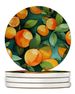 Florida Orange Blossom In Watercolor Large Sandstone Coasters Pack Of 4 Absorbent Round Coasters Decor Gifts For Men Or Women, 4 In, Multicolor_maomaolike.com