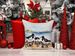 Oystercatchers Feeding Throw Pillow Machine Washable, Indoor Outdoor Decorative Pillow For Couch, Bed Or Patio, 14Hx14W_maomaolike.com