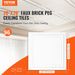 VEVOR Ceiling Tiles 96-Pack 20 X 20 In Polystyrene Easy Installation Glue-up_maomaolike.com