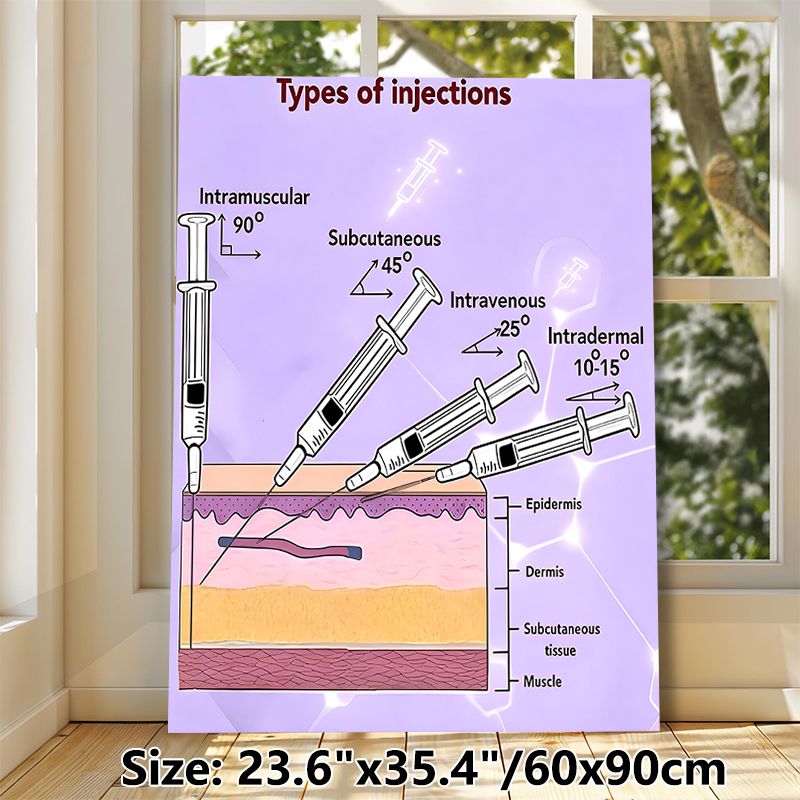 Types Of Injections Medical Educational Painting Poster, Clear Illustrative Anatomical Injection Guide Poster, Informative Medical Reference Ideal For_maomaolike.com