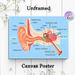 Human Ear Anatomy Painting Poster, Clear Scientific Illustrated Poster, Detailed Labeled Ear Structure Diagram, Practical Educational Decor For_maomaolike.com