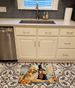 Golden Retriever Fall Kitchen Pumpkins Memory Foam Kitchen Mat Machine Washable Anti-Fatigue Mat Cushion Comfort Bath Mat Or Kitchen Rug_maomaolike.com