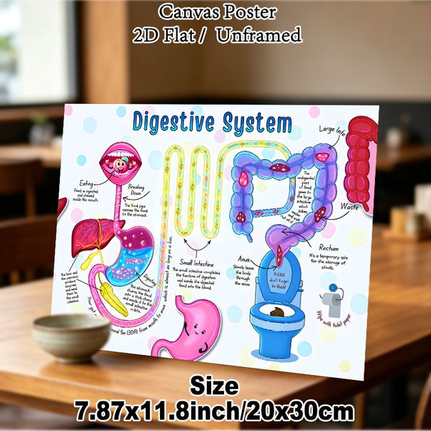 Digestive System Educational Painting Poster, Vibrant Cartoon-style Human Digestive System Illustration Poster, Informative Learning Tool With Clear_maomaolike.com