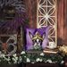 Boston Terrier King Of Mardi Gras Throw Pillow Machine Washable, Indoor Outdoor Decorative Pillow For Couch, Bed Or Patio, 18Hx18W_maomaolike.com