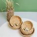 Pipa Rabbit Rutin Chicken Breeding Box Supplies Hideaway Nest Parrot Grass Woven Universal For Small Birds_maomaolike.com