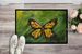 Monarch Glover Fly Butterfly Doormat Front Door Mat Indoor Outdoor Rugs For Entryway, Non Slip Washable Low Pile, 24H X 36W_maomaolike.com