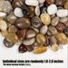 38lbs Decorative Garden Stone Outdoor Landscaping, Walkways, Yard, 1-3 Inch Large Polished River Rocks For Plants Pots, Vases, Crafts_maomaolike.com