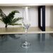 tail Personalized Bar Martini Internet Celebrity Highball Cup Set Champagne Glass Liquor_maomaolike.com