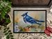 Blue Jay Doormat Front Door Mat Indoor Outdoor Rugs For Entryway, Non Slip Washable Low Pile, 24H X 36W_maomaolike.com