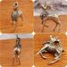 Brass Pair Of Plum Blossom Ornaments Home Office Decorations Christmas Deer Moving Forward Small Gifts Crafts_maomaolike.com