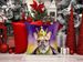 French Bulldog King Of Mardi Gras Throw Pillow Machine Washable, Indoor Outdoor Decorative Pillow For Couch, Bed Or Patio, 18Hx18W_maomaolike.com