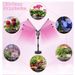 Led Desktop Telescopic Plant Light Full Spectrum Green Plant Aquarium Flower Herb Seedling Plant Growth Fill Light%_maomaolike.com