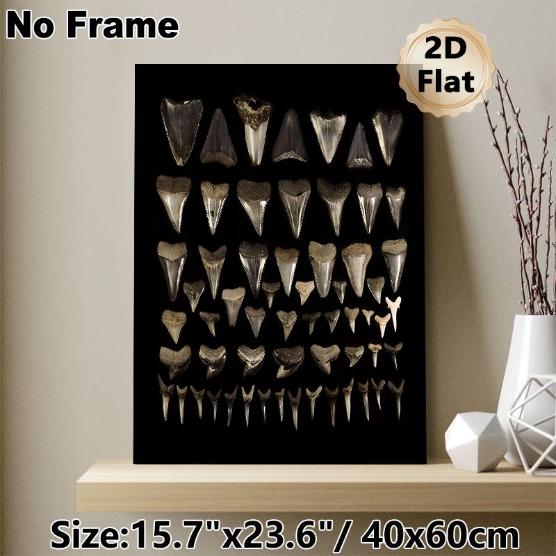 Shark Tooth Collection Painting Poster, Vintage Monochrome Arranged Shark Teeth Display Poster, Unique Natural-themed Decor Ideal For Home Study_maomaolike.com