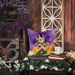 Welsh Terrier King Of Mardi Gras Throw Pillow Machine Washable, Indoor Outdoor Decorative Pillow For Couch, Bed Or Patio, 14Hx14W_maomaolike.com