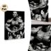 Bodybuilding Themed Painting Poster, Vintage Monochrome Professional Bodybuilder Poster, Motivational Fitness Artwork Ideal For Gym, Home Wall Decor_maomaolike.com