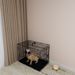 30-inch Black Wire Dog Cage Double Lock Mechanism Double Door Single Handle Single Bolt_maomaolike.com
