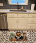 Norfolk Terrier Fall Kitchen Pumpkins Memory Foam Kitchen Mat Machine Washable Anti-Fatigue Mat Cushion Comfort Bath Mat Or Kitchen Rug_maomaolike.com