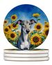 Greyhound In Sunflowers Large Sandstone Coasters Pack Of 4 Absorbent Round Coasters Decor Gifts For Men Or Women, 4 In, Multicolor_maomaolike.com