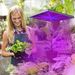 LED Grow Light Full Spectrum Hanging 225 LEDs Plant Grow Lamp Indoor Grow Light For Greenhouse Succulents Seedlings Plants Veg And Flower(15W LEDs)_maomaolike.com