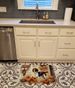 Brittany Fall Kitchen Pumpkins Memory Foam Kitchen Mat Machine Washable Anti-Fatigue Mat Cushion Comfort Bath Mat Or Kitchen Rug_maomaolike.com