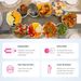 360° Rotating Lazy Susan Turntable – Durable Serving Tray For Dining Table, Buffet & Family Gatherings (White, 4/6/8_maomaolike.com