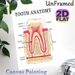 Tooth Anatomy Painting Poster, Detailed Labeled Medical Illustration Poster, Informative Dental Structure Reference, Suitable For Dental Clinics_maomaolike.com