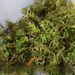 High-Quality Dry Water Moss Butterfly Orchid Succulent Dendrobium Nutrient Soil Fertilizer Seedling Grafting Turtle_maomaolike.com