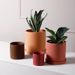 Nordic Style Morandi INS Ceramic Cement Flower Succulent Green Plant Pot Modern Simple Personality Extra Large_maomaolike.com