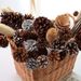 【Pine With Stem】Nordic INS Style Fresh Natural Real Pine Cone Dried Flower Bouquet Home Living Room Decoration Ornament_maomaolike.com