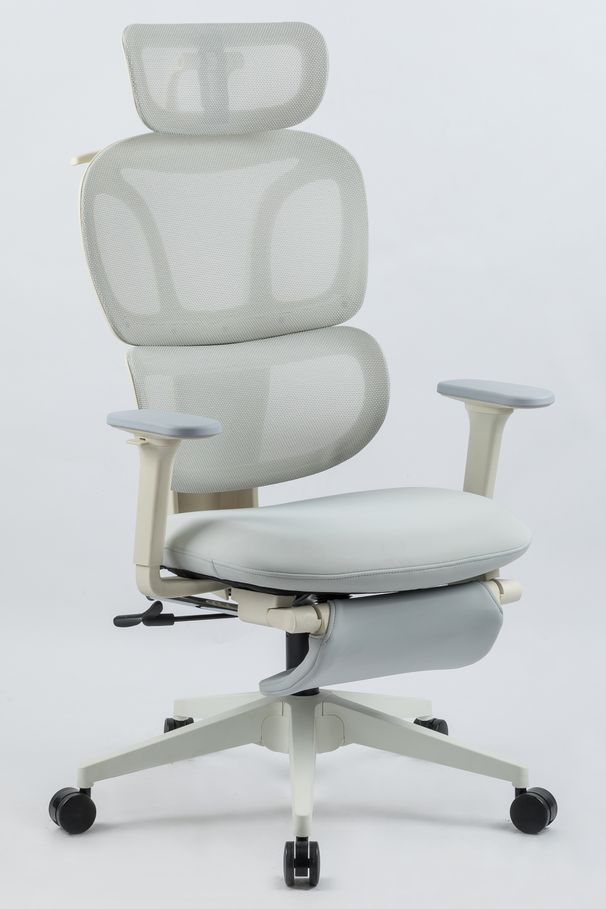 Ergonomic Office Chair With Footrest, High Back Computer Office Chair With Dynamic Lumbar Support, 2D Headrest, 2D Armrest, Sponge Seat, Mesh Home Office Desk Chair For Adults, GREY_maomaolike.com