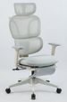 Ergonomic Office Chair With Footrest, High Back Computer Office Chair With Dynamic Lumbar Support, 2D Headrest, 2D Armrest, Sponge Seat, Mesh Home Office Desk Chair For Adults, GREY_maomaolike.com