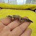 Cross-Border Hot-Selling New Pure Copper-Plated Crocodile Statue Animal Ornament Tea Pet Garden Decoration Copperware Crafts Whole_maomaolike.com